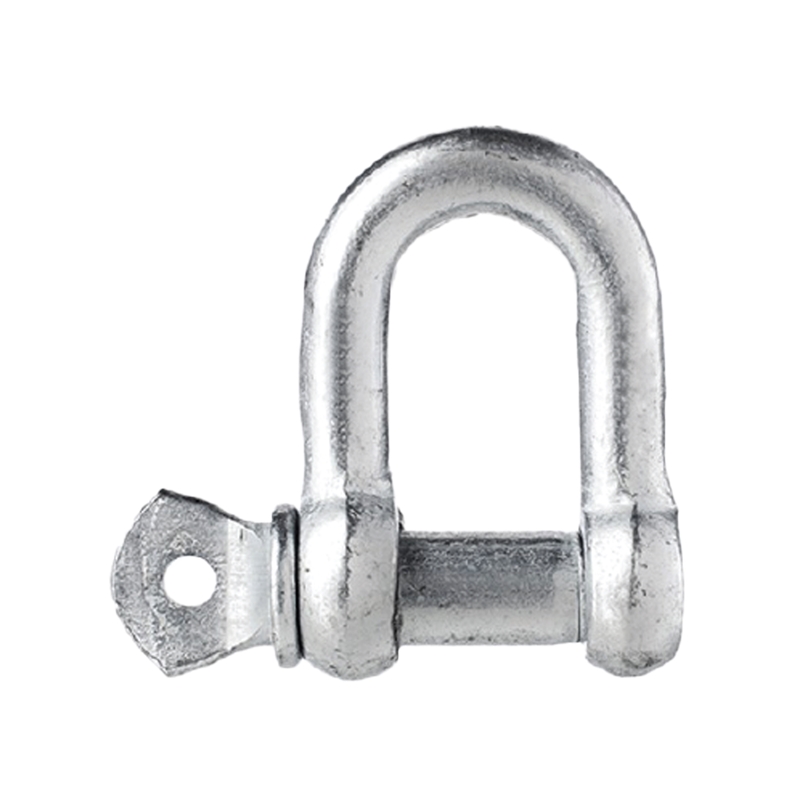 European Type Galvanized Dee Shackle