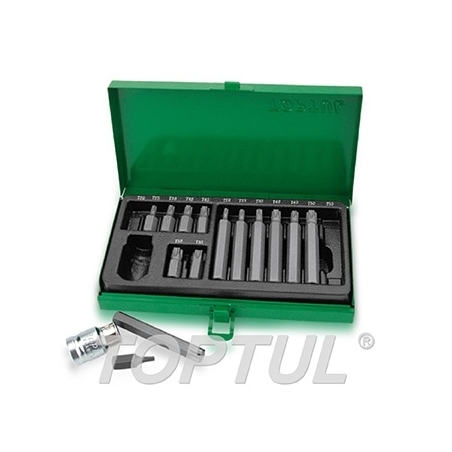 Jogo Bits Torx 1/2" 15 Peças GAAD1506 Toptul