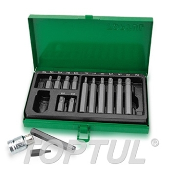 Jogo Bits Torx 1/2" 15 Peças GAAD1506 Toptul - DTJBT1215