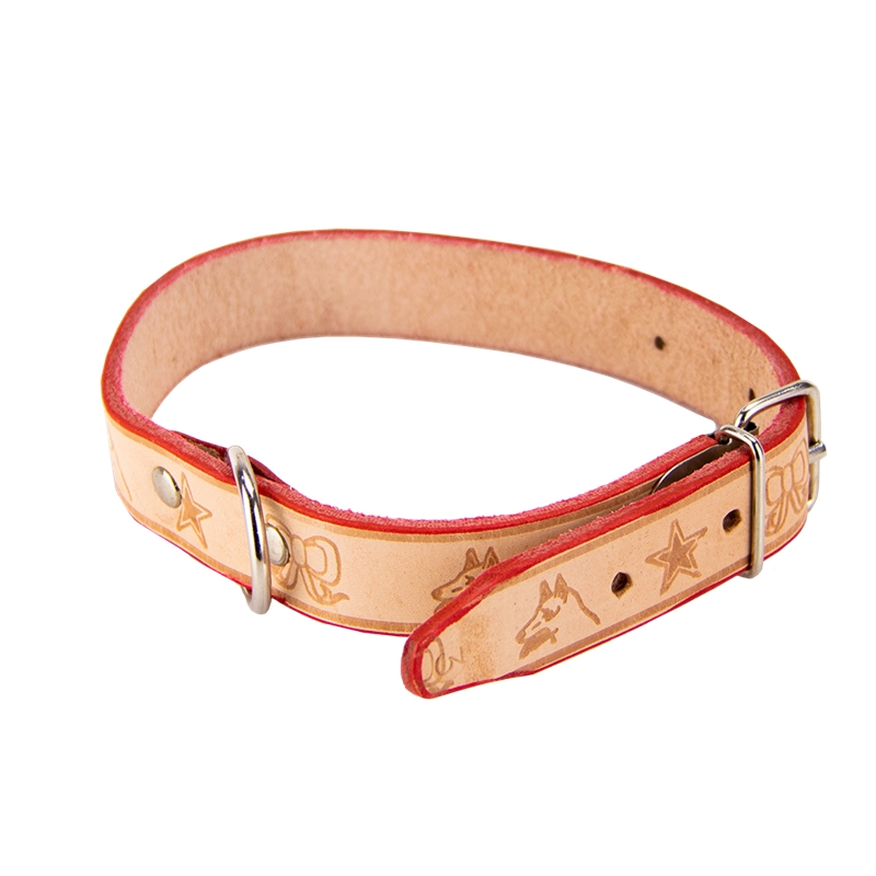 Collar de cuero Saddler Anta 3