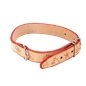 Collar de cuero Saddler Anta 3