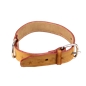 Collar de cuero Saddler Anta 7