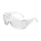 Protective Glasses with Stems Flux