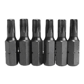 Set of 10 Tamper-Proof Torx Bits (15x25mm) Flux - FC10BT1525