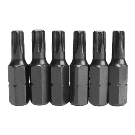 Set of 10 Tamper-Proof Torx Bits (15x25mm) Flux - FC10BT1525