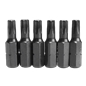 Set of 10 Tamper-Proof Torx Bits