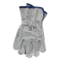 Croute Gray Chef Glove