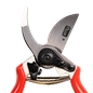 Pruning Scissors TF11 Flux